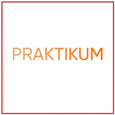 Paktikum