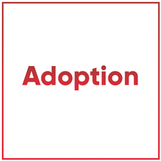 Adoption