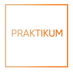 Praktikum