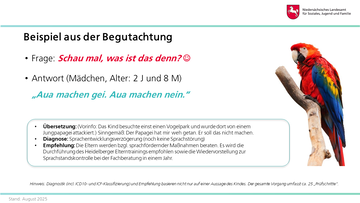Vorstellung der Fachberatung Hören, Sprache und Sehen