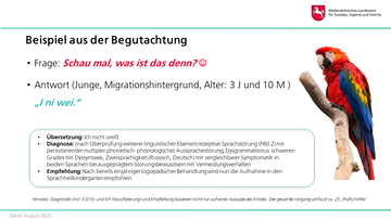 Vorstellung der Fachberatung Hören, Sprache und Sehen