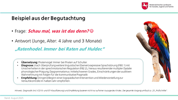 Vorstellung der Fachberatung Hören, Sprache und Sehen