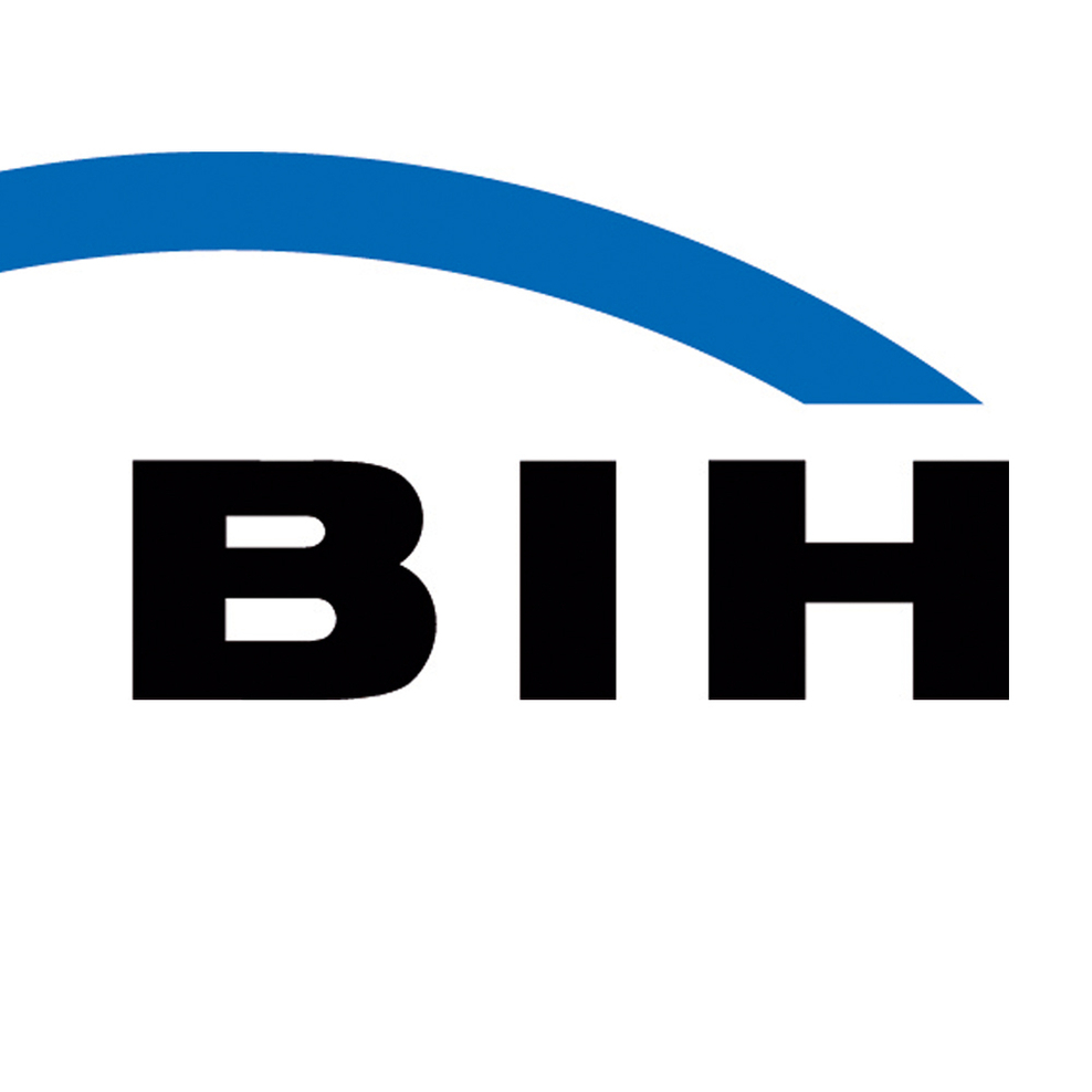 Logo BIH