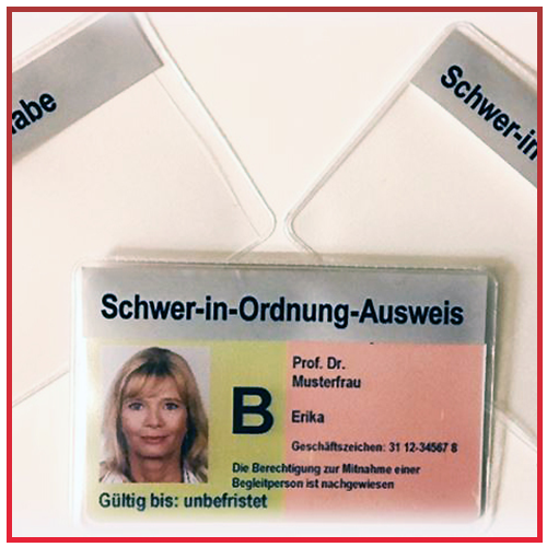 Schwer-in-Ordnung-Ausweis